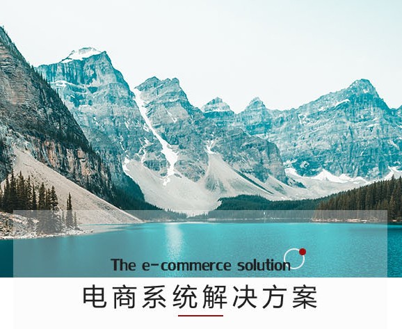 B2C標(biāo)準(zhǔn)商城開(kāi)發(fā)